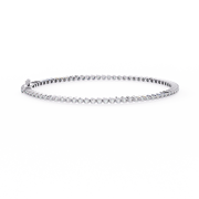 Fascinating Phoenix Affection Bracelet (BR14004)