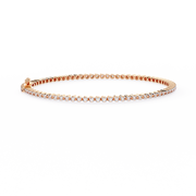 Fascinating Phoenix Affection Bracelet (BR14004)