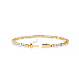 Beautiful Phoenix Framework Bracelet (BR14047)