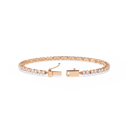 Beautiful Phoenix Framework Bracelet (BR14047)