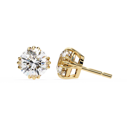 Magnificent Vine Flame Earrings (ER14005)