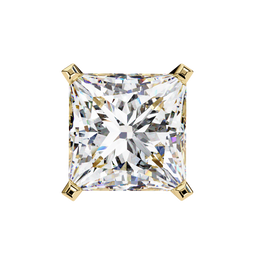 Exquisite V-Prong Nerve Earrings (ER14006)