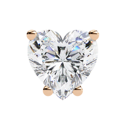 Aura Star Nerve Earrings (ER14011)