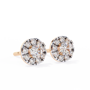 Lovely Vine Shade Earrings (ER14020)