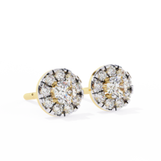 Lovely Vine Shade Earrings (ER14020)