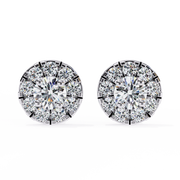Lovely Vine Shade Earrings (ER14020)