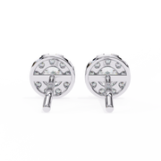 Lovely Vine Shade Earrings (ER14020)