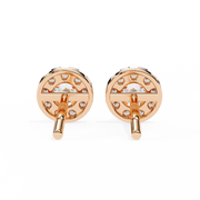 Lovely Vine Shade Earrings (ER14020)