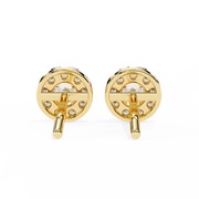 Lovely Vine Shade Earrings (ER14020)