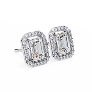 Breathtaking Trellis Contour Earrings (ER14022)