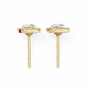 Breathtaking Knot Passion Earrings (ER14023)