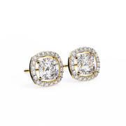 Breathtaking Knot Passion Earrings (ER14023)