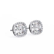 Breathtaking Knot Passion Earrings (ER14023)