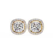 Breathtaking Knot Passion Earrings (ER14023)