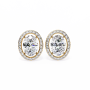Fascinating Angel Memory Earrings (ER14024)