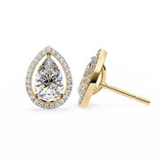 Glorious Vine Wish Earrings (ER14025)