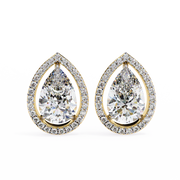 Glorious Vine Wish Earrings (ER14025)