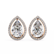 Glorious Vine Wish Earrings (ER14025)