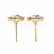 Glorious Vine Wish Earrings (ER14025)