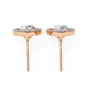 Glorious Vine Wish Earrings (ER14025)