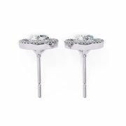 Glorious Vine Wish Earrings (ER14025)