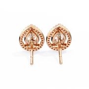 Glorious Vine Wish Earrings (ER14025)