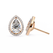 Glorious Vine Wish Earrings (ER14025)
