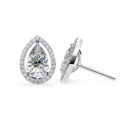 Glorious Vine Wish Earrings (ER14025)