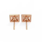 Opulent Tension Specter Earrings (ER14026)