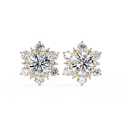 Scintillating Interlocking Thought Earrings (ER14028)