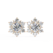 Scintillating Interlocking Thought Earrings (ER14028)