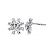 Lovely Dragon Specter Earrings (ER14029)