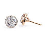Arresting Moon Skeleton Earrings (ER14030)