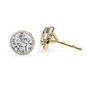 Arresting Moon Skeleton Earrings (ER14030)