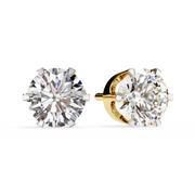Beautiful Wing Framework Earrings (ER14031)