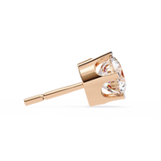 Beautiful Wing Framework Earrings (ER14031)