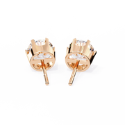 Beautiful Wing Framework Earrings (ER14031)