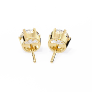 Beautiful Wing Framework Earrings (ER14031)