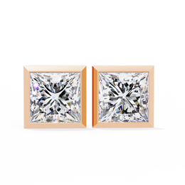 Effervescent Braided Nerve Earrings (ER14033)