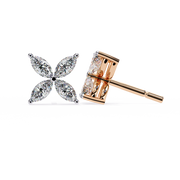 Beautiful Bypass Profile Earrings (ER14034)