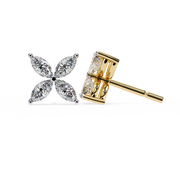 Beautiful Bypass Profile Earrings (ER14034)
