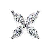 Beautiful Bypass Profile Earrings (ER14034)