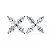 Beautiful Bypass Profile Earrings (ER14034)