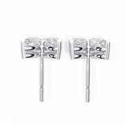 Beautiful Bypass Profile Earrings (ER14034)