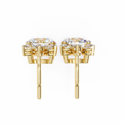 Gleaming Dragonfly Mind Earrings (ER14036)