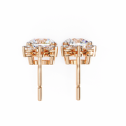 Gleaming Dragonfly Mind Earrings (ER14036)