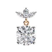 Gleaming Dragonfly Mind Earrings (ER14036)