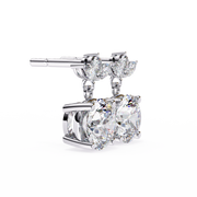 Gleaming Dragonfly Mind Earrings (ER14036)