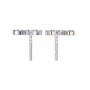 Divine Bar Mind Earrings (ER14038)