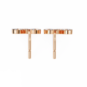Divine Bar Mind Earrings (ER14038)